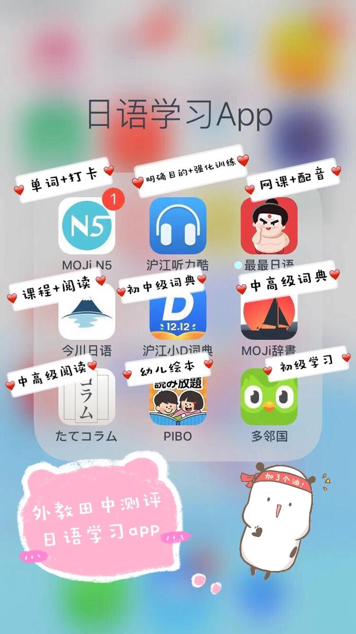 MOJi问答app 日语学习 零基础 使用体验 功能评测