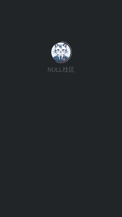 NULL社区下载最新版 安装步骤 注意事项 2025