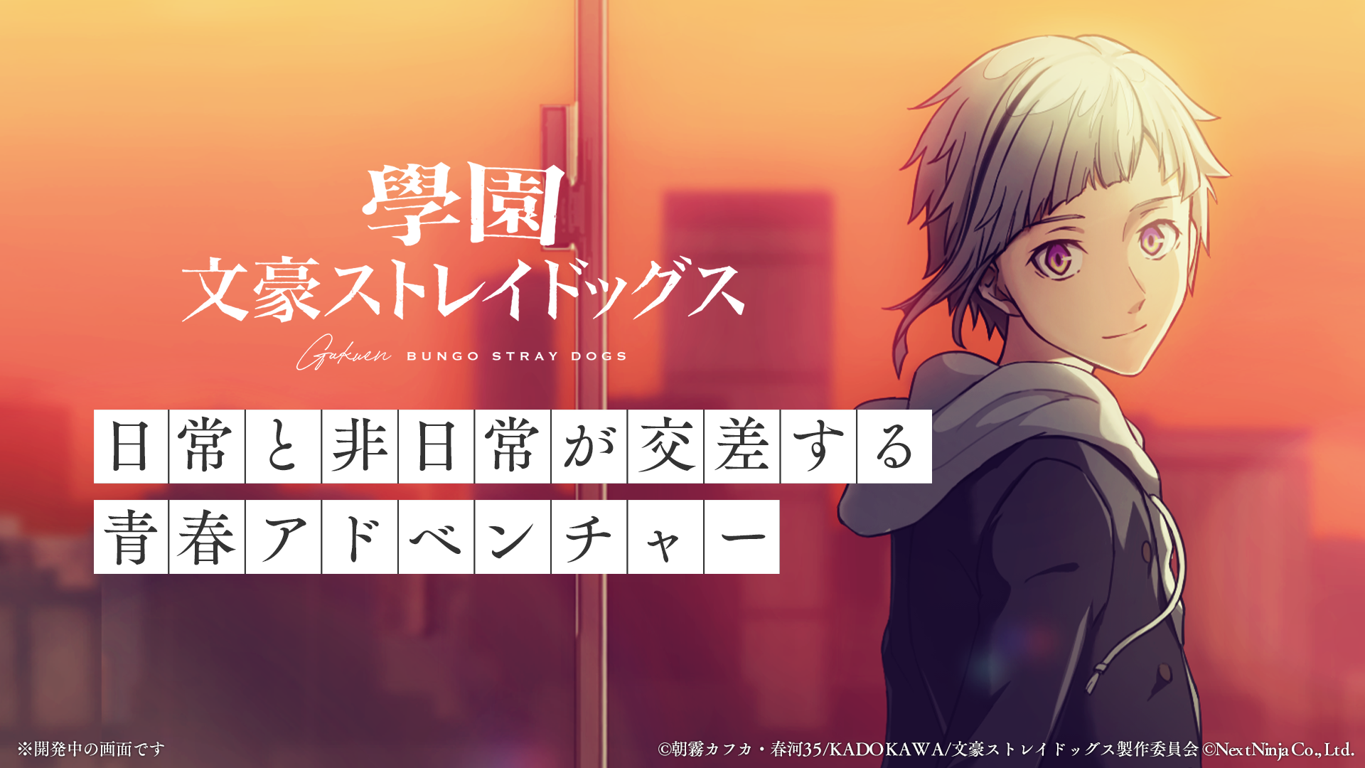 学园文豪straydogs日服(文スト安装器) 游戏画面 角色展示