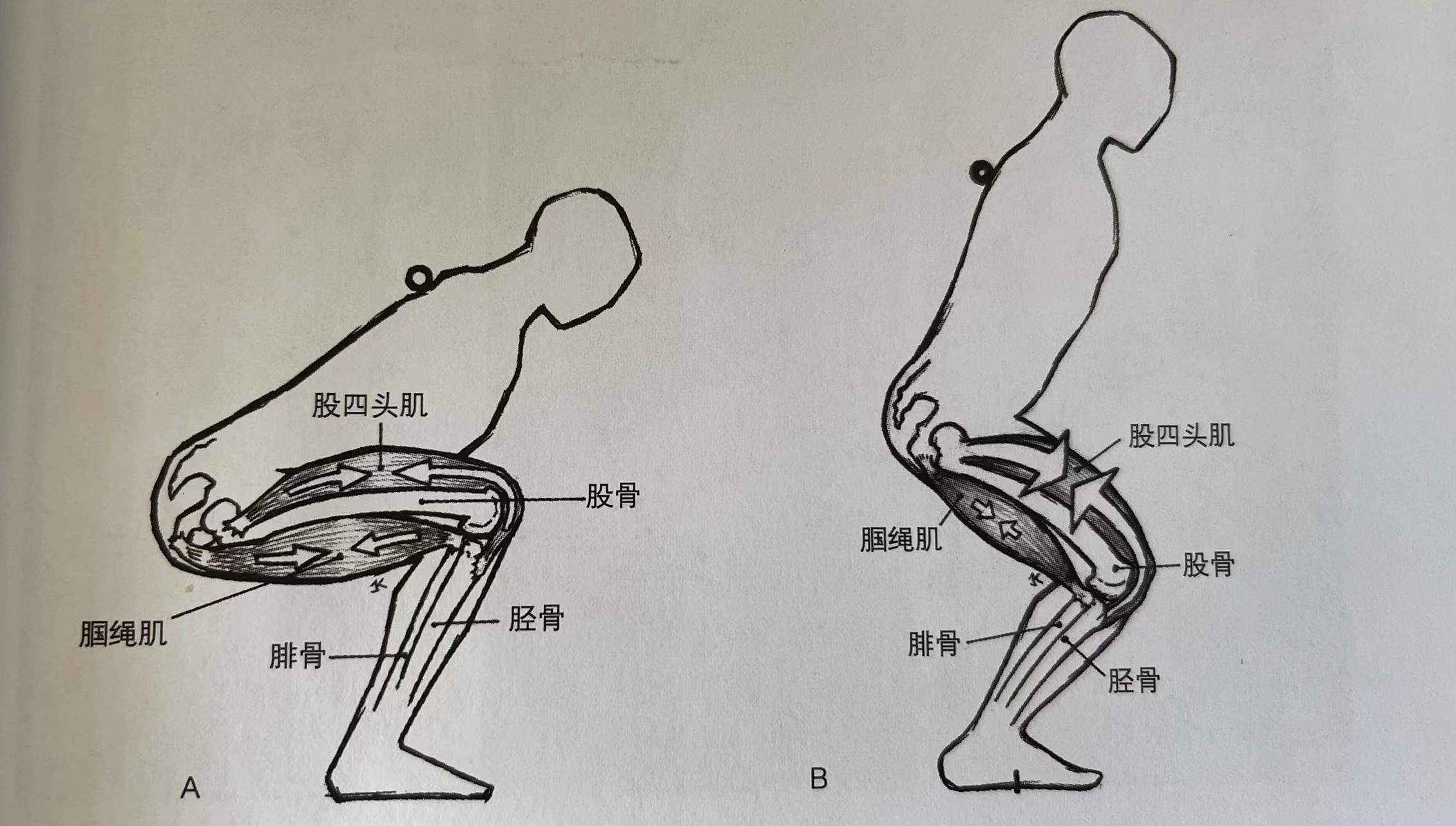�������� AI˽�� �������� ��� ѵ��