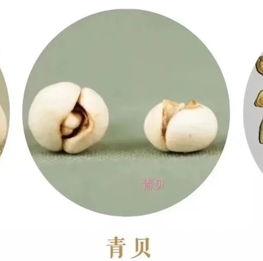 泸贝尔 选购对比 实物图