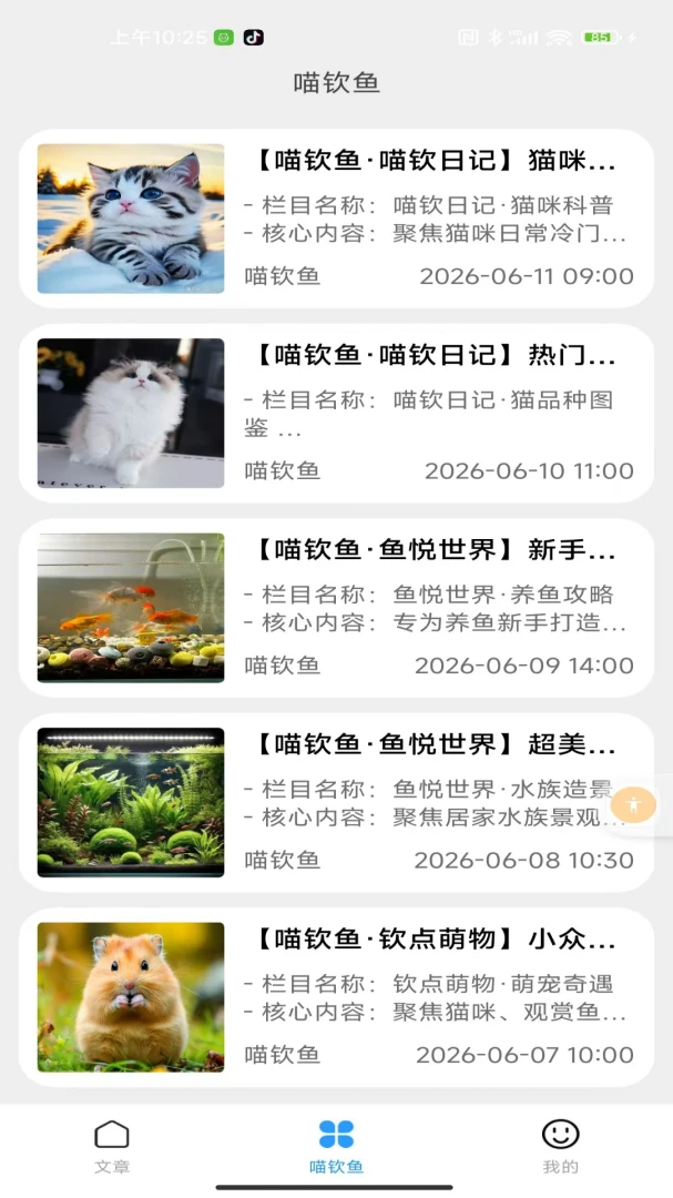 喵钦鱼appv2.0 安卓版