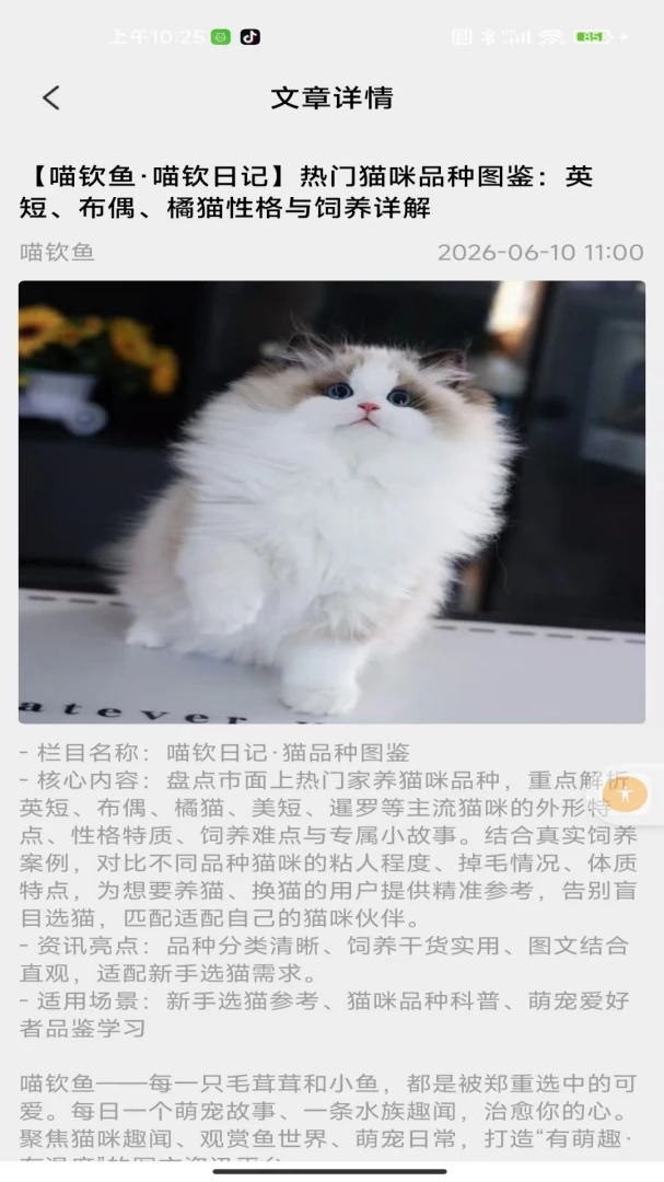 喵钦鱼appv2.0 安卓版