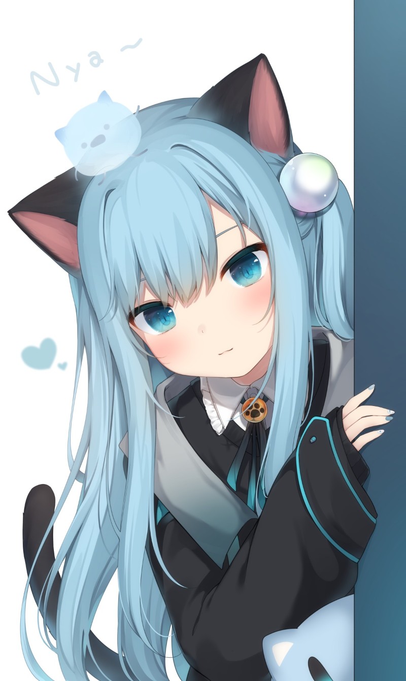 è���������°氲װ�������