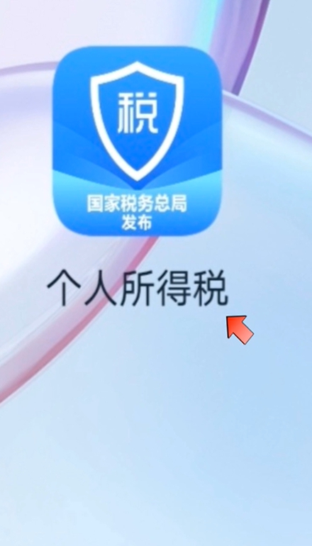 个人所得税手机app下载最新版 官方正版安装教程