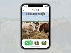 �������������г�app���ذ�װ��ţ������Ϣƽ̨