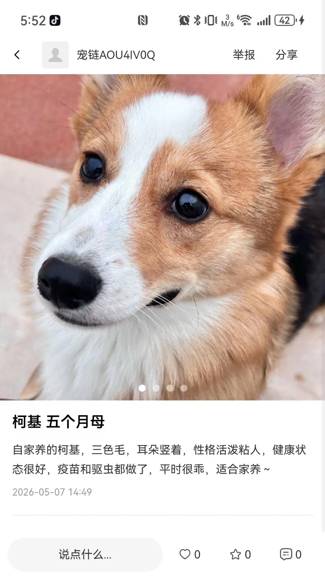 宠链app官方下载v1.4.2 安卓版