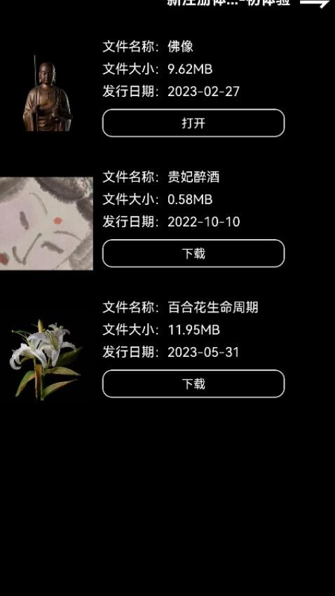 ZsPlayer 安卓版 操作说明