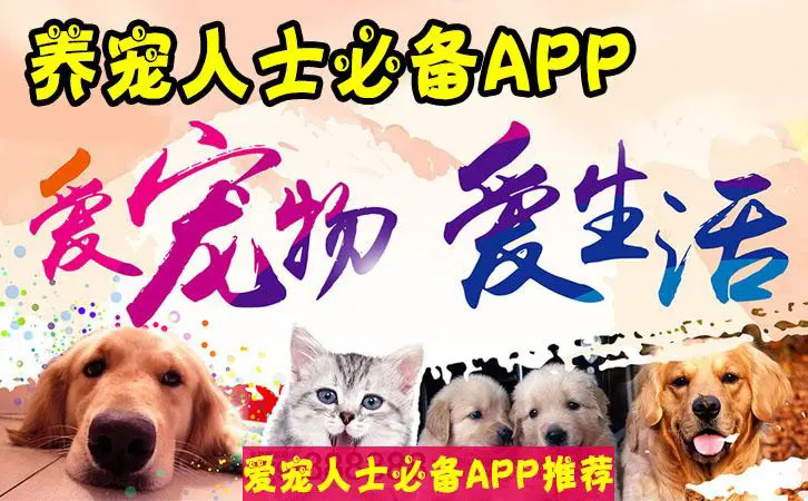 Pataһ��������app��ʺ�ٱر��罻�����Ƽ�