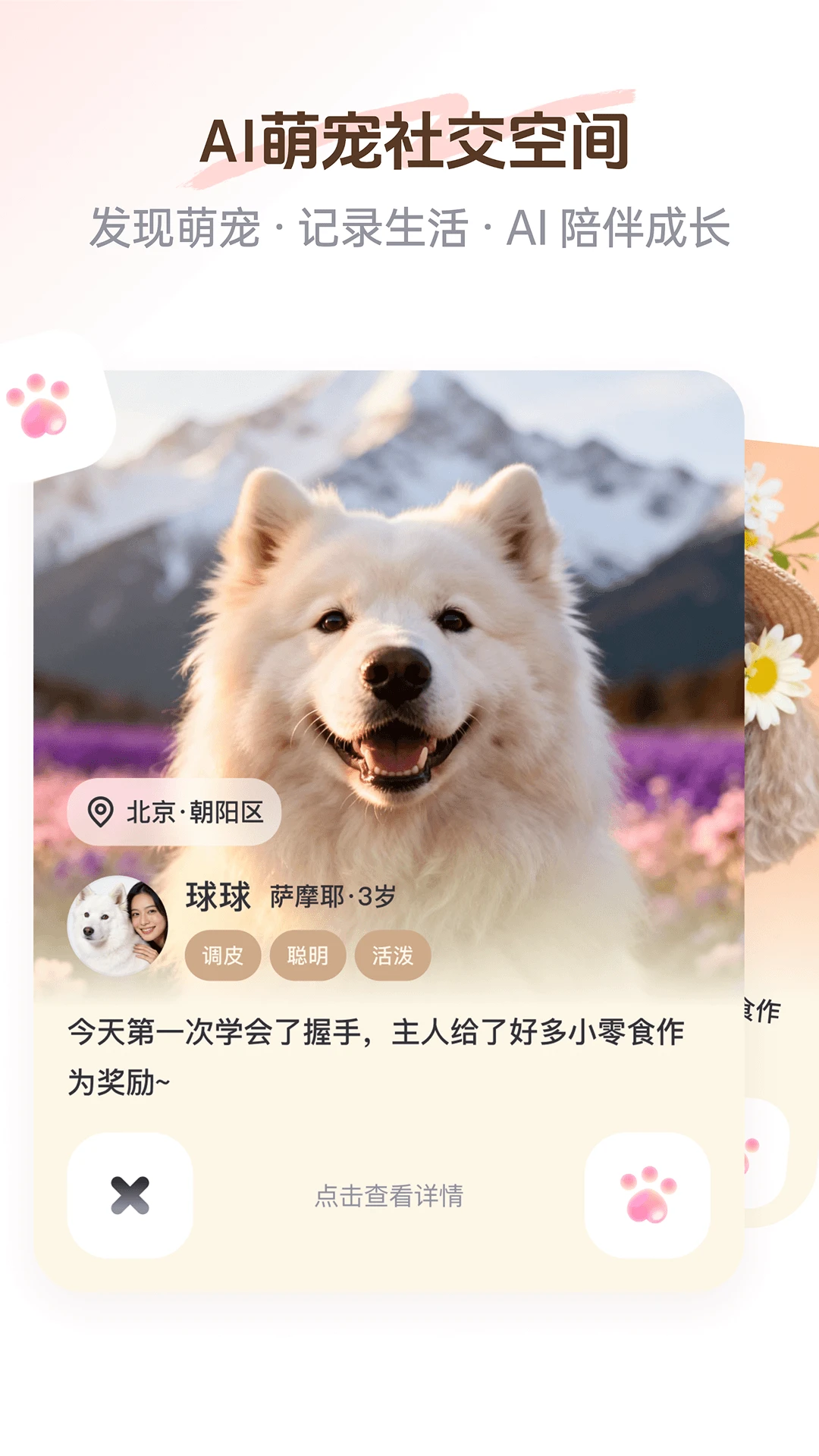 PetSpace appv2.4.0 安卓版