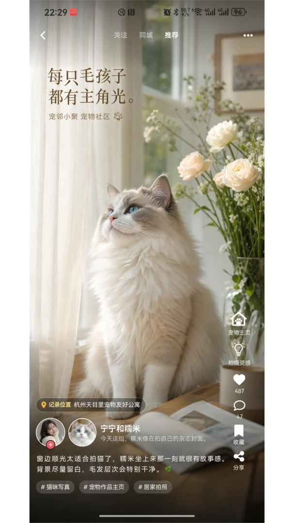 ����С��appv1.0.4 ��׿��