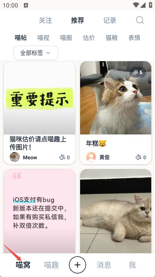 喵然纸上