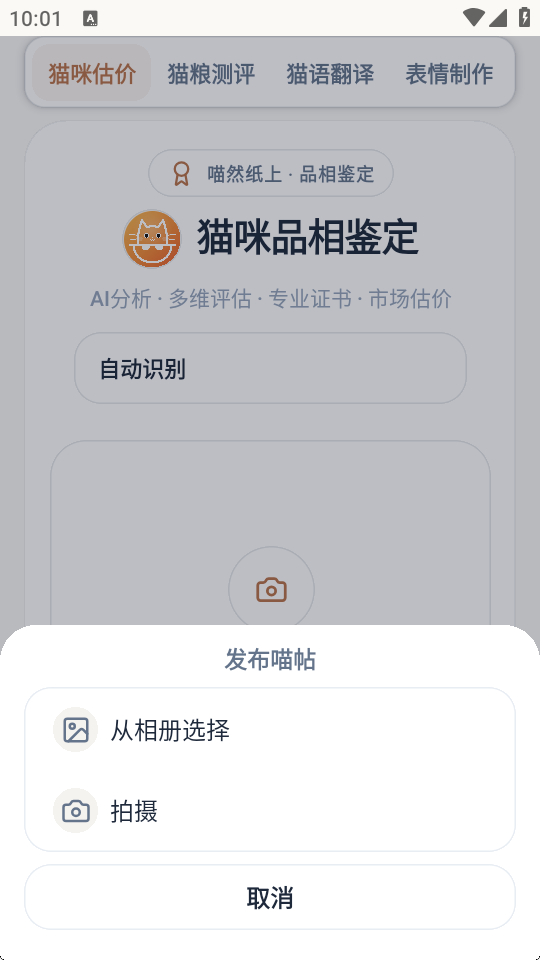 喵然纸上