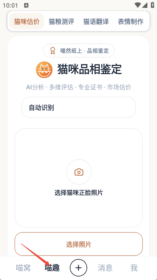 喵然纸上