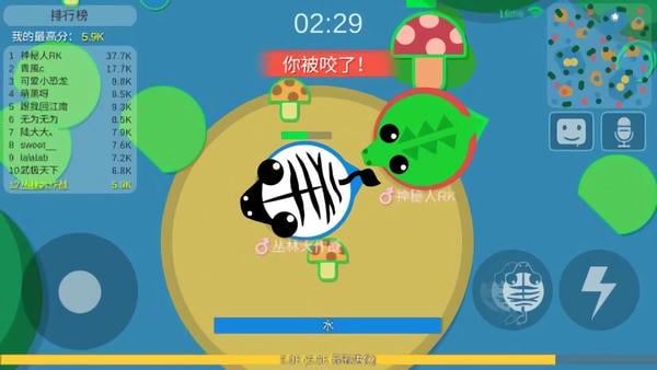 丛林大作战官方正版下载游戏实战画面截图