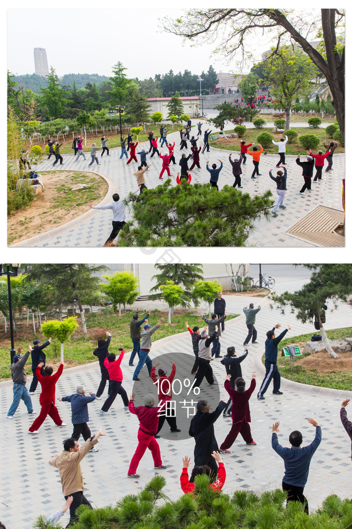 乐龄圈 老年健身 太极 户外活动 配图