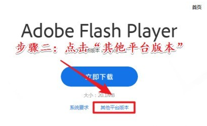 Flashinfo下载安装教程及最新版免费获取方法 Flashinfo下载安装教程及最新版免费获取方法