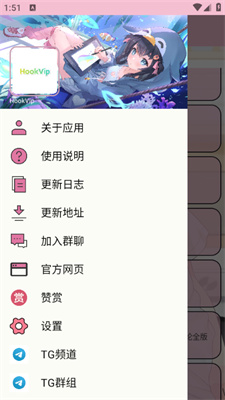 hookvip模块