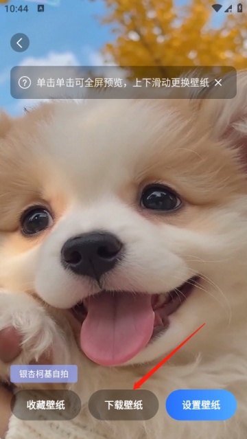 �鶯������app