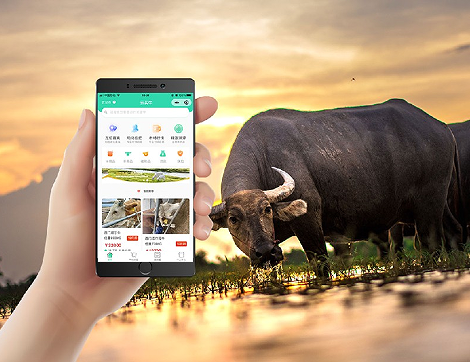 �������������г�App���أ�ţ������Ϣʵʱ��