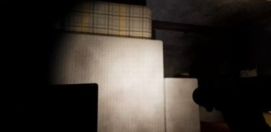 悬案2刹那惊颤安卓版(CASE 2: Animatronics Survival) 悬案2刹那惊颤安卓版(CASE 2: Animatronics Survival)