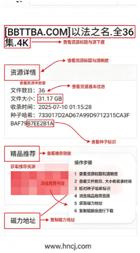 磁力熊猫app下载 磁力熊猫app下载