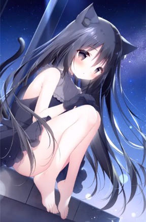 星空列车与白的旅行免费版 星空列车与白的旅行免费版