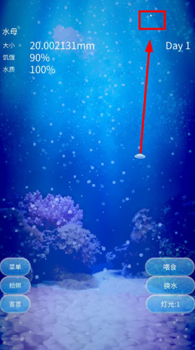 养育水母的治愈最新版 养育水母的治愈最新版
