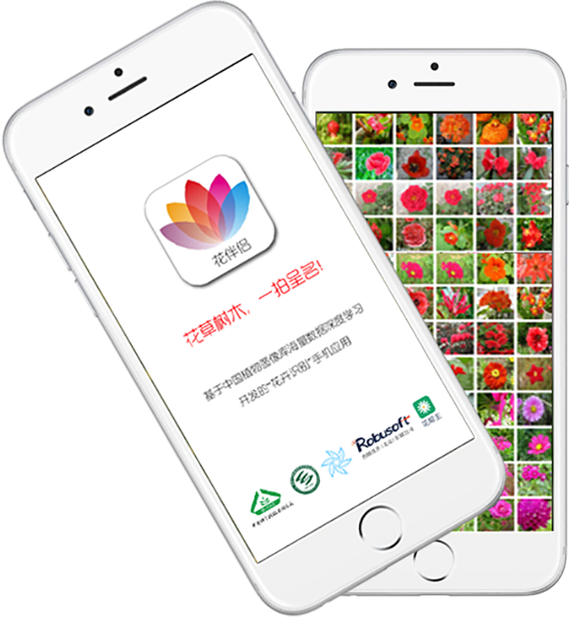 花伴侣专业版app拍照识花功能实测