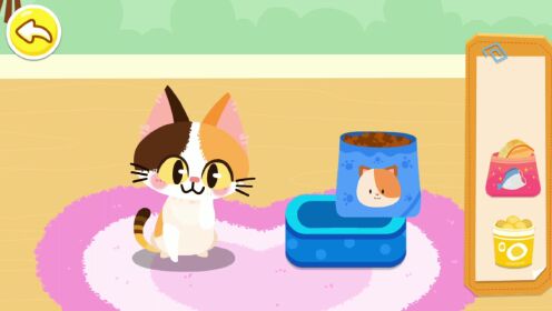 小小猫之家手机版 紧急救助 志愿者 宠物医院