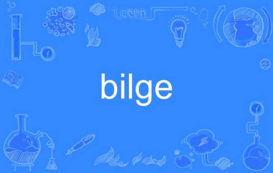 Bilge app���ذ�װ�̳���ʹ�ü��ɷ���