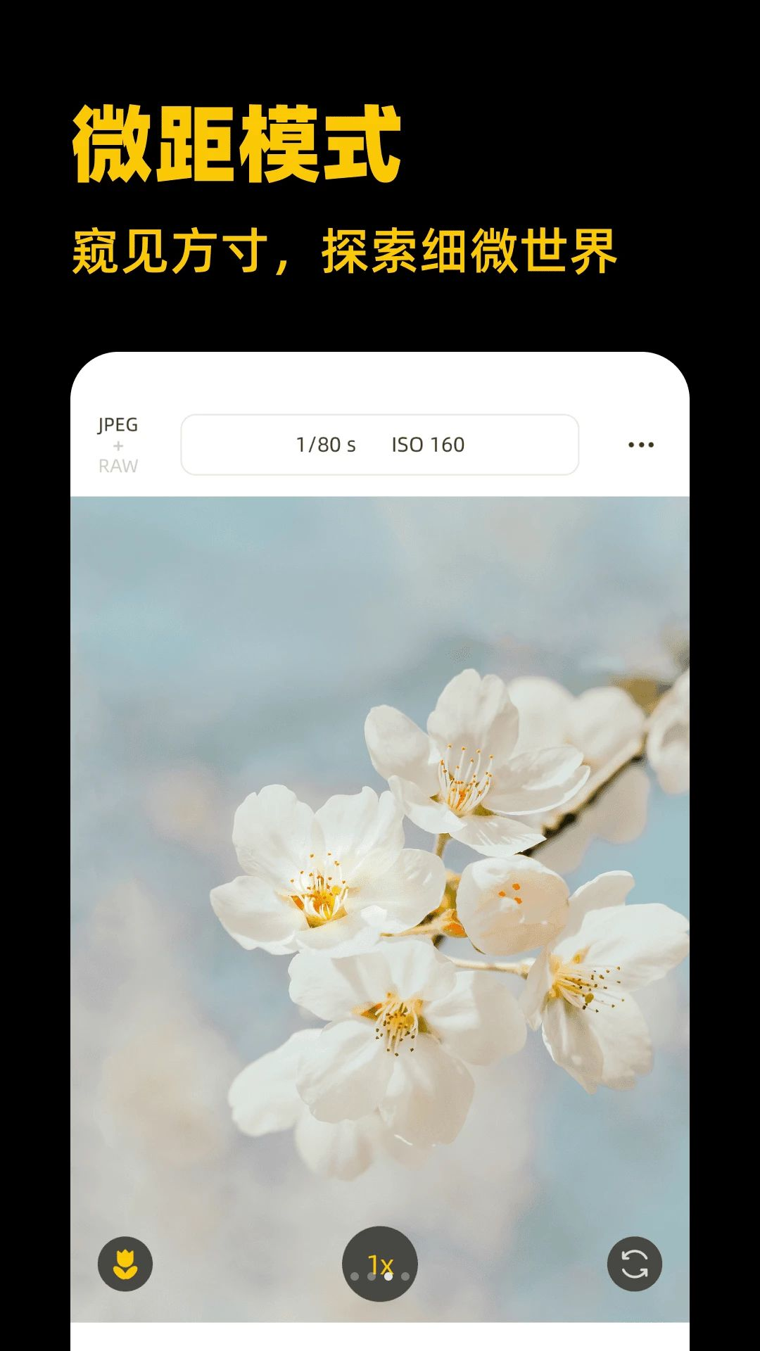 ��Լ���appv1.0.0 ��׿��