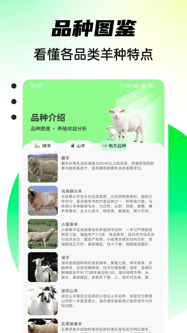 С����������appv1.0.4 ��׿��