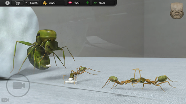 蚂蚁模拟大亨手机版(Ant Sim Tycoon安装器)v3.15 官方版