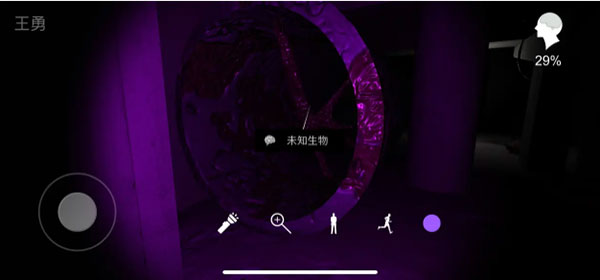 孙美琪疑案兰芝