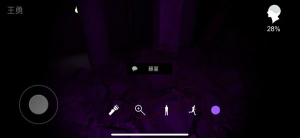 孙美琪疑案兰芝