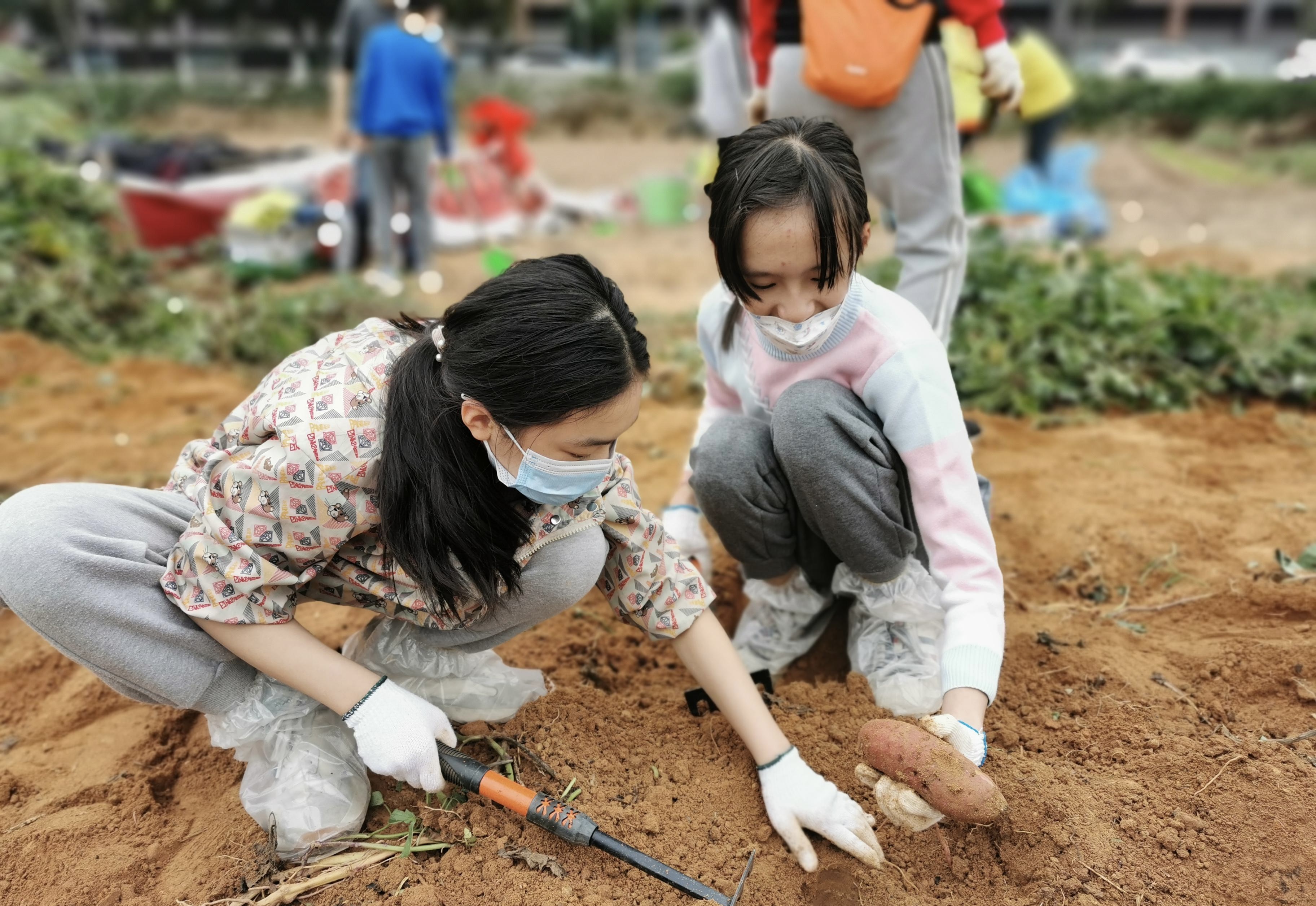 农场乐农耕体验手工DIY亲子互动