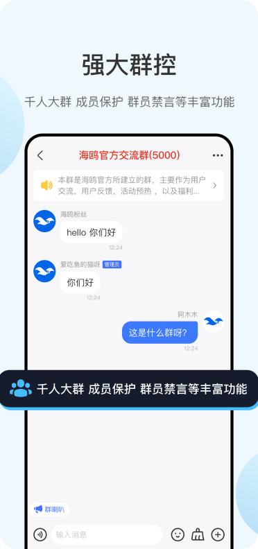 海鸥聊天app安卓版 2025新版 聊天界面功能展示