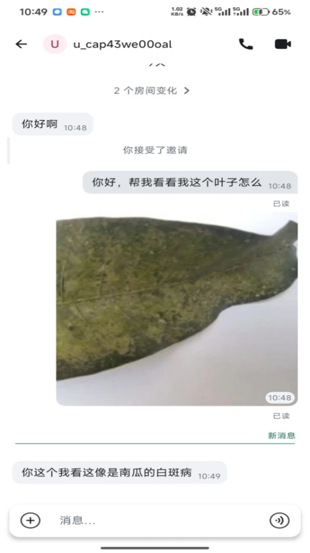 沃力花appv26.08.24 安卓版