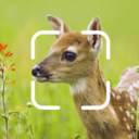 TrailCam Go appv2.10.4 ��׿��