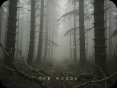 ��������The Woods����ɭ��̽���������