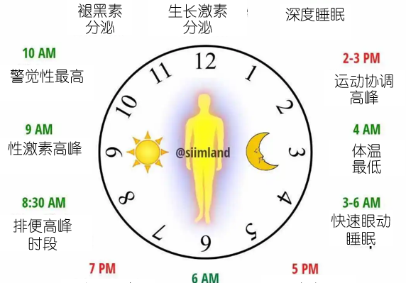 安平长康 规律作息 改善睡眠