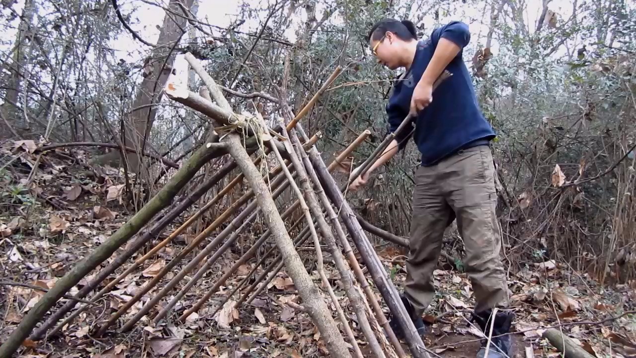 荒野生存 搭建庇护所 方法