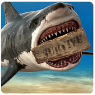 ���������������°�(Shark Land)v10.2.8 ��׿��