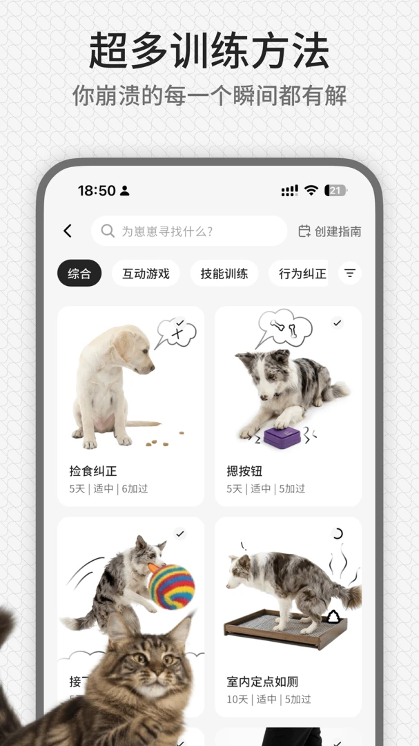 rua它appv1.2.0 安卓版