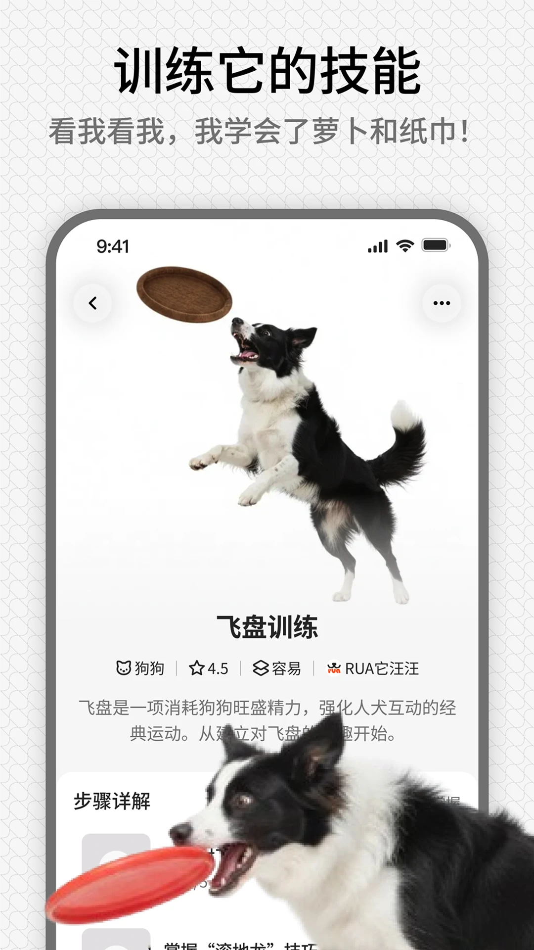 rua它appv1.2.0 安卓版