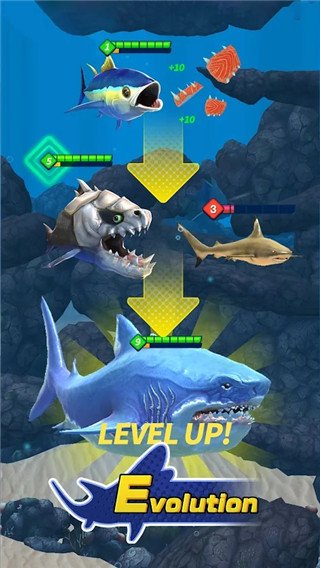 ��ʳ���������°�v1.5.1 ��׿��