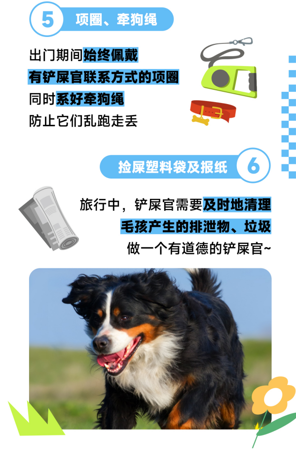 �ڴ�ë���ּ� �����ճ�ι��ϸ��