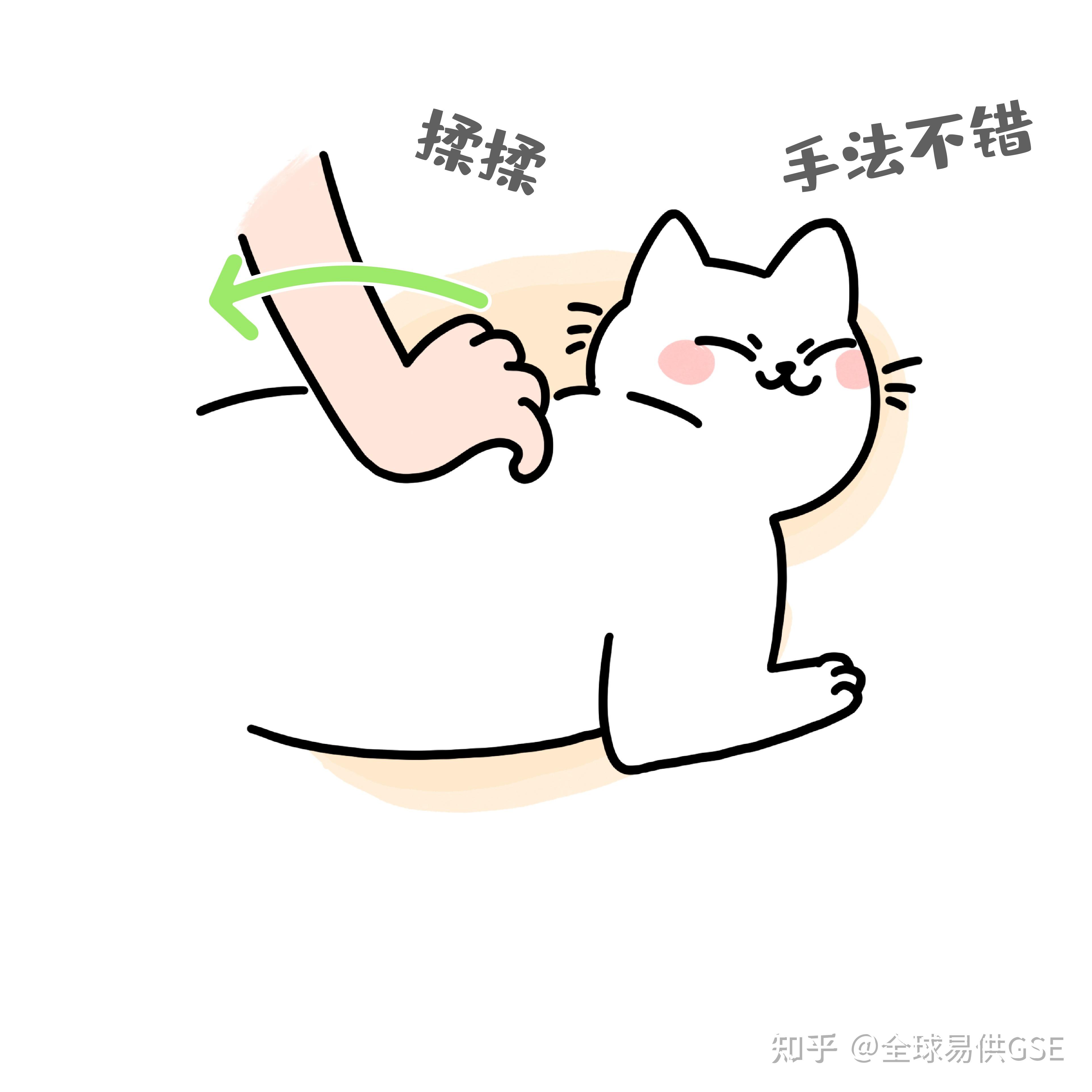 rua它 撸猫手法 猫咪心情判断 图片