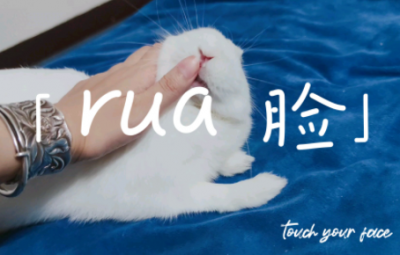 rua它是什么梗 撸猫手法教程 配图